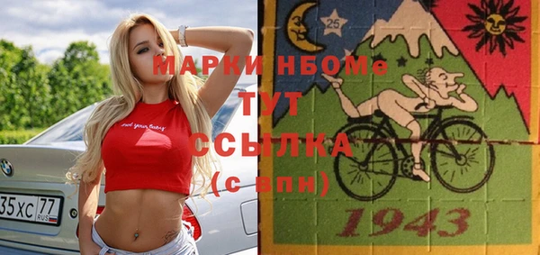 spice Бородино