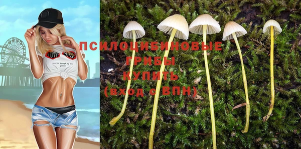 ECSTASY Волосово