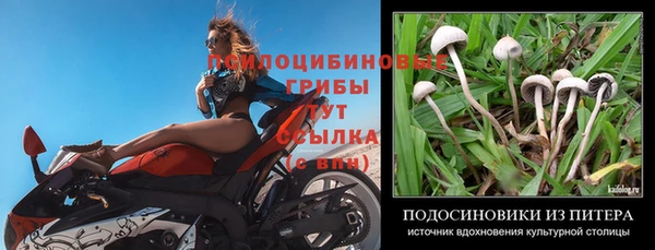 ГАЛЛЮЦИНОГЕННЫЕ ГРИБЫ Верхний Тагил