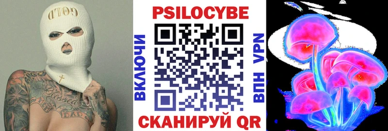 Псилоцибиновые грибы Psilocybine cubensis  где найти   Дюртюли 